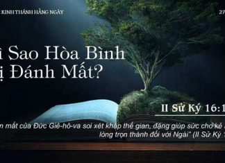 Vì Sao Hòa Bình Bị Đánh Mất? – 27/10/2022