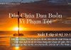 Dân Chúa Đau Buồn Vì Phạm Tội – 31/10/2022