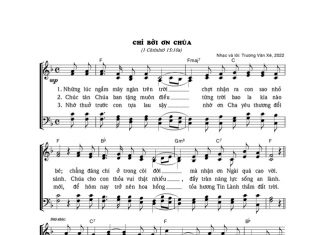 Bài hát: Chỉ Bởi Ơn Chúa