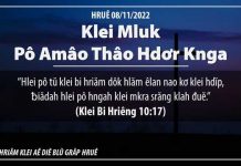 Klei Mluk Pô Amâo Thâo Hdơr Knga – 8/11/2022