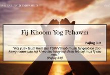 Fij Khoom Yog Pehawm – 1/12/2022