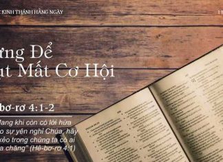 Đừng Để Hụt Mất Cơ Hội – 11/11/2022