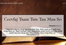 Ceevfaj Tsam Tsis Tau Mus So – 11/11/2022