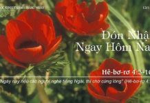 Đón Nhận Ngay Hôm Nay – 12/11/2022