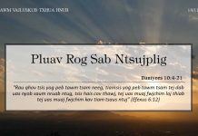 Pluav Rog Sab Ntsujplig – 14/11/2022