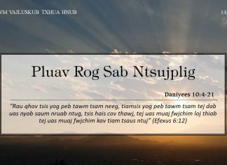 Pluav Rog Sab Ntsujplig – 14/11/2022