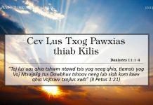 Cev Lus Txog Pawxias thiab Kilis – 15/11/2022