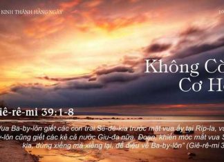 Không Còn Cơ Hội – 19/11/2022