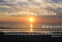 Luôn Tỏ Lòng Biết Ơn – 2/11/2022