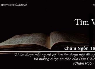 Tìm Vợ – 20/11/2022