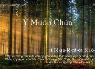 Ý Muốn Chúa – 3/11/2022