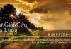 Sự Giải Cứu Lạ Lùng – 7/11/2022