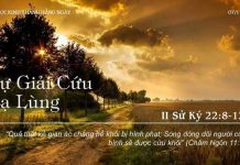 Sự Giải Cứu Lạ Lùng – 7/11/2022