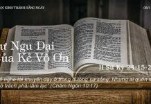 Sự Ngu Dại Của Kẻ Vô Ơn – 8/11/2022
