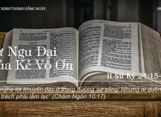 Sự Ngu Dại Của Kẻ Vô Ơn – 8/11/2022