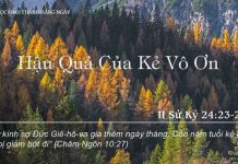 Hậu Quả Của Kẻ Vô Ơn – 9/11/2022