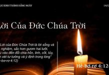 Lời Của Đức Chúa Trời – 14/12/2022