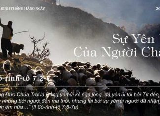 Sự Yên Ủi Của Người Chăn – 26/12/2022