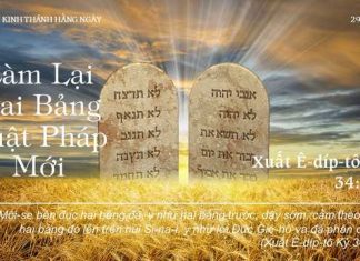 Làm Lại Hai Bảng Luật Pháp Mới – 29/12/2022