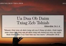 Ua Dua Ob Daim Txiag Zeb Tshiab – 29/12/2022