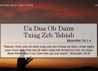 Ua Dua Ob Daim Txiag Zeb Tshiab – 29/12/2022