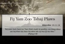 Fij Yam Zoo Tshaj Plaws – 3/12/2022