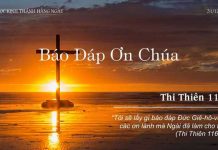 Báo Đáp Ơn Chúa – 31/12/2022