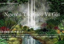 Nguyên Tắc Gieo Và Gặt – 4/12/2022