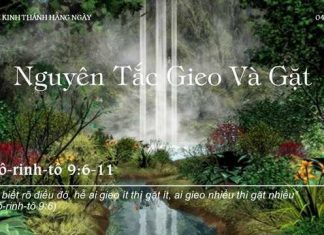 Nguyên Tắc Gieo Và Gặt – 4/12/2022