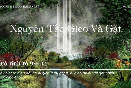 Nguyên Tắc Gieo Và Gặt – 4/12/2022