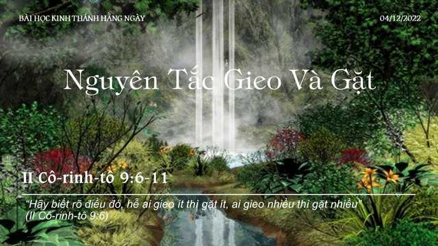 Nguyên Tắc Gieo Và Gặt – 4/12/2022