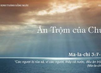 Ăn Trộm của Chúa – 5/12/2022