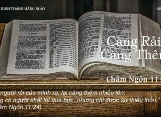 Càng Rải… Càng Thêm! – 8/12/2022