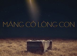 Thơ: Máng Cỏ Lòng Con