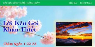 Lời Kêu Gọi Khẩn Thiết – 10/1/2023