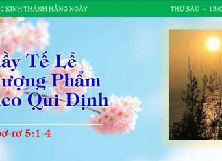 Thầy Tế Lễ Thượng Phẩm Theo Quy Định – 13/1/2023
