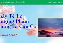 Thầy Tế Lễ Thượng Phẩm Chúng Ta Cần Có – 14/1/2023