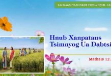 Hnub Xanpataus Tsimnyog Ua Dabtsi? – 18/1/2023