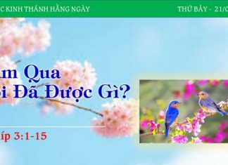 Năm Qua Tôi Đã Được Gì? – 21/1/2023