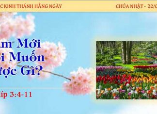 Năm Mới Tôi Muốn Được Gì? – 22/1/2023