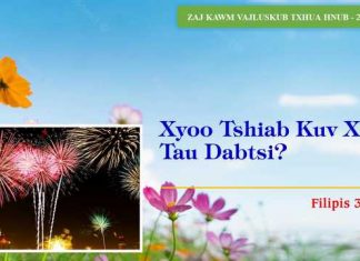 Xyoo Tshiab Kuv Xav Tau Dabtsi? – 22/1/2023