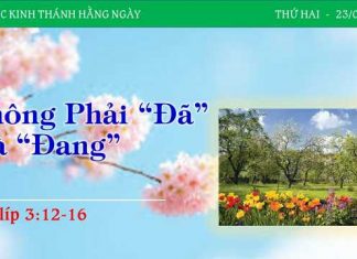 Không Phải “Đã” Mà “Đang” – 23/1/2023