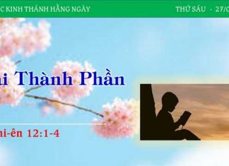 Hai Thành Phần – 27/1/2023