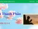 Hai Thành Phần – 27/1/2023