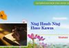 Niaj Hnub Niaj Hmo Kawm – 3/1/2023