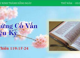 Những Cố Vấn Diệu Kỳ – 5/1/2023