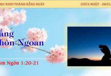 Đấng Khôn Ngoan – 8/1/2023