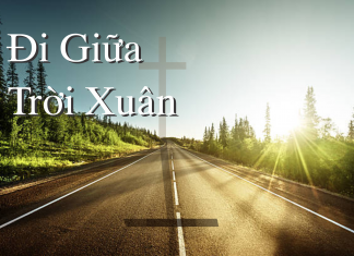 Đi Giữa Trời Xuân