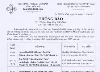 Ban Đại Diện TP.HCM Thông Báo V/v Tổ Chức Hoạt Động Thiếu Niên Khu Vực Tp.HCM Năm 2023