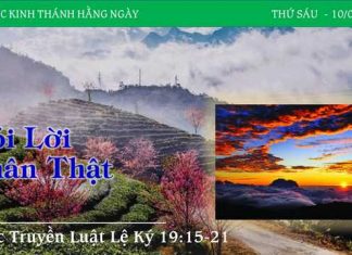 Nói Lời Chân Thật – 10/2/2023